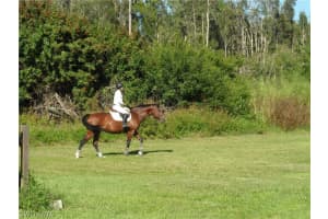 6735 Broken Arrow Rd, Fort Myers, FL 33912, Sold 05/10/23