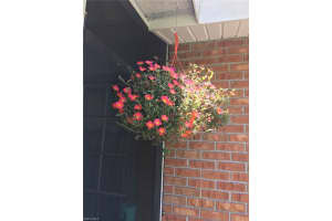 3369 Yukon Cir Apt 1, Fort Myers, FL 33907, Sold 05/16/22