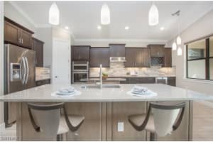 20531 Black Tree Ln, Estero, FL 33928, Sold 05/31/22
