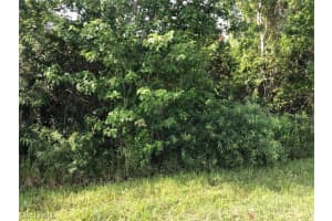 630 Shady Hollow Boulevard, Naples, FL 34120 - MLS#222030848