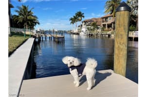 799 Cape View Dr, Fort Myers, FL 33919, Sold 02/24/23