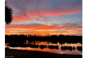20359 Black Tree Ln, Estero, FL 33928, Sold 03/31/23