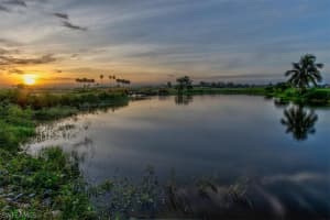 18656 Royal Hammock Blvd, Naples, FL 34114, Sold 03/14/23