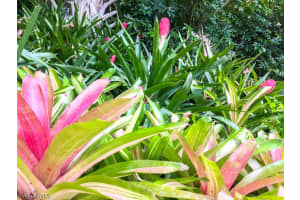 1866 Ibis Ln, Sanibel, FL 33957, Sold 06/01/23