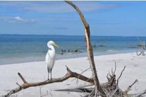 7360 Estero Blvd #604, Fort Myers Beach, FL 33931, Sold 05/25/23