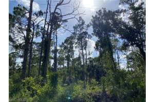 2063 Fernwood Street, Port Charlotte, FL 33948 - MLS#223044422