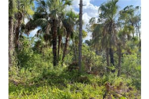 2063 Fernwood Street, Port Charlotte, FL 33948 - MLS#223044422