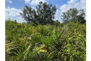 306 Baytree Drive, Rotonda West, FL 33947 - MLS#223045716