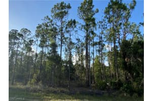 27166 Dubonet Drive, Punta Gorda, FL 33955 - MLS#223045718