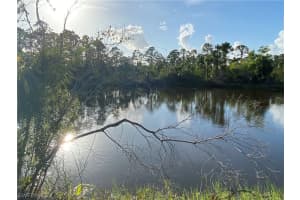 27166 Dubonet Drive, Punta Gorda, FL 33955 - MLS#223045718