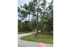 25211 Catskill Drive, BONITA SPRINGS, FL 34135 Sold 01/11/24
