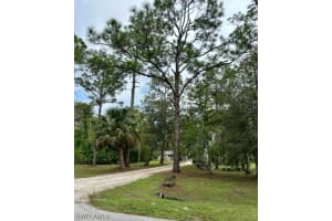 25211 Catskill Drive, BONITA SPRINGS, FL 34135 Sold 01/11/24