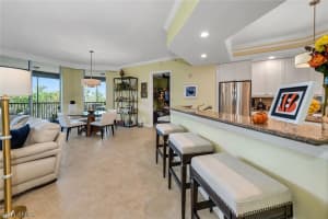 24011 Via Castella Drive, Bonita Springs, FL 34134 Sold 12/03/24