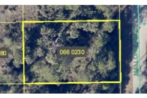 430 Mallory Avenue, Lehigh Acres, FL 33974 - MLS#223080149