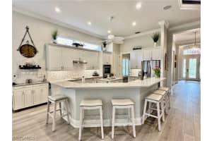 28707 Pienza Court, BONITA SPRINGS, FL 34135 Sold 07/03/24
