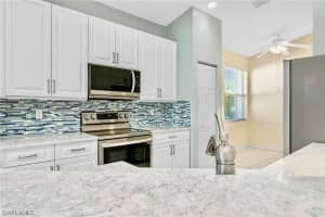 20062 Ballylee Court, ESTERO, FL 33928 Sold 05/31/24