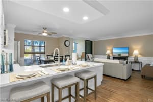 1085 Bald Eagle Drive, MARCO ISLAND, FL 34145 Sold 06/05/24