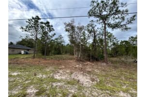 445 Jaguar Boulevard, Lehigh Acres, FL 33936 - MLS#224002412
