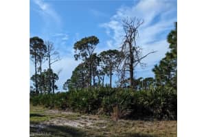 3 Carline Lane, PLACIDA, FL 33946 Sold 12/06/24