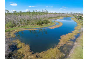 20454 Black Tree Lane, ESTERO, FL 33928 Sold 03/14/24