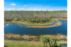 20454 Black Tree Lane, ESTERO, FL 33928 Sold 03/14/24
