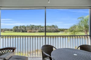 9890 Spring Run Boulevard, ESTERO, FL 34135 Sold 03/26/24