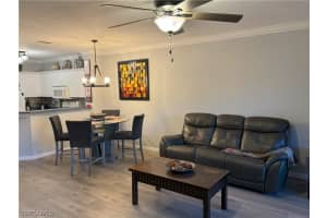 1316 Weeping Willow Court, Cape Coral, FL 33909 Sold 04/17/25