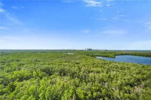 425 Cove Tower Drive, Naples, FL 34110 Sold 02/07/25