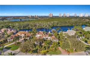 26630 Rookery Lake Drive, BONITA SPRINGS, FL 34134 Sold 06/12/24