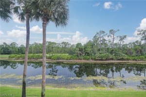 8570 Cedar Hammock Circle, NAPLES, FL 34112 Sold 04/30/24
