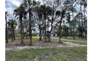 MLS# 224019244, Naples, Florida 34120