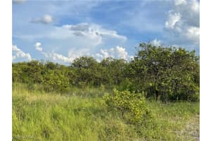  6395 7th RD, LABELLE, FL 33935 Sold 10/12/24