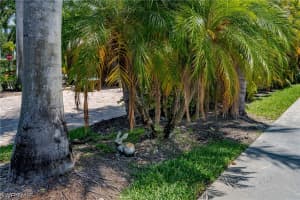 MLS# 224041415, Naples, Florida 34114