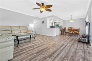 1549 Sandpiper Street, NAPLES, FL 34102 Sold 09/16/24
