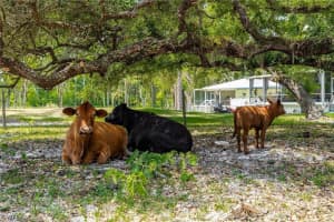 18301 Old Bayshore Road, NORTH FORT MYERS, FL 33917 Sold 08/01/25