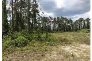 1157 Damen Street, Lehigh Acres, FL 33974 - MLS#224047857