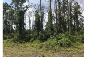 1157 Damen Street, Lehigh Acres, FL 33974 - MLS#224047857