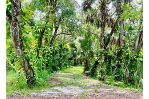385 Caloosa Drive, Labelle, FL 33935 - MLS#224047913