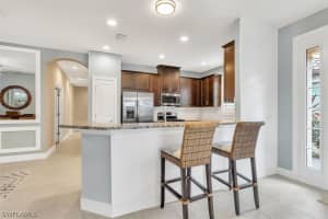 11632 CALLISIA Drive, ODESSA, FL 33556 Sold 03/14/25