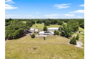 3220 5th Trail, TRENTON, FL 32693 Sold 09/20/24