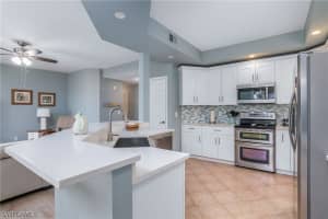 133 Vintage Bay Drive, Marco Island, FL 34145 Sold 01/16/25