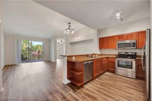 10110 Villagio Palms Way, Estero, FL 33928 Sold 12/12/24
