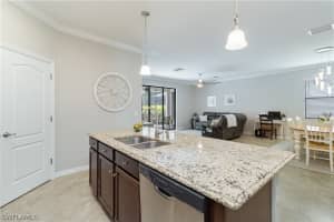 4272 Raffia Palm Circle, NAPLES, FL 34119 Sold 10/02/24