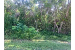 xxx Pine Tree Drive, Naples, FL 34112 - MLS#224053331