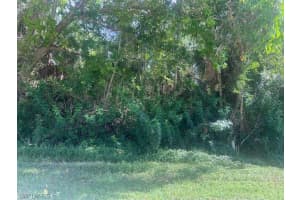 xxx Pine Tree Drive, Naples, FL 34112 - MLS#224053335