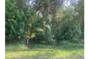 xxx Andrews Avenue, Naples, FL 34112 - MLS#224053341