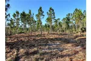 ACCESS UNDETERMINED, NORTH FORT MYERS, FL 33917 Sold 11/15/24