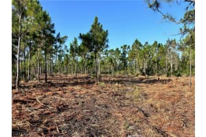 ACCESS UNDETERMINED, NORTH FORT MYERS, FL 33917 Sold 11/15/24