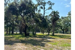 500 Avalon Avenue, Labelle, FL 33935 - MLS#224058490