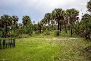 3987 14th Avenue, NAPLES, FL 34117 Sold 11/18/24